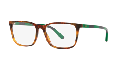 Polo Brille mit zweifarbiger Fassung